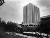 Business Tower building. thumbnail