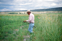 Kaber farm, Compuerta irrigation 037 thumbnail