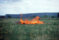 Kaber farm, Field burning and plowing 003 thumbnail