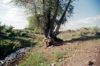 Kaber farm, Making chicos 049 thumbnail