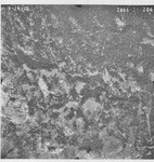 1970 2866-25-206 [Fresno County, California aerial survey, 1970] thumbnail