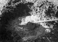 Kaber farm 043 thumbnail