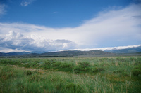 Kaber farm, Grain fields and landscapes 008 thumbnail