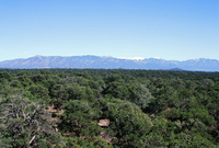 Torres ranch landscapes 007 thumbnail