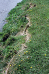 Watershed and canals 064 thumbnail