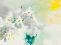 White Flowers With Sunburst thumbnail