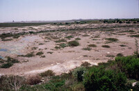 Pt. Mugu Wetlands thumbnail