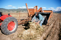 Gallegos farm, Hay baling 006 thumbnail