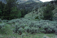 Mountain landscapes 007 thumbnail