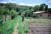 Montoya farm, Irrigating fields 001 thumbnail