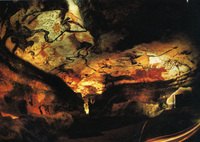 Cave Painting, Hall of Bulls thumbnail