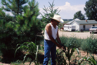 San Luis Valley 006 thumbnail
