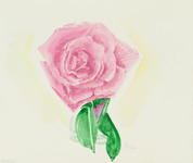 Pink Rose thumbnail