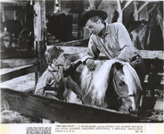 The Red Pony Movie Still thumbnail