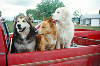 Colorado rural life 018 thumbnail