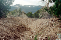 Maistas farm, Ditch and cattle 039 thumbnail