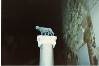 Capitoline Wolf statue in Rome, Italy thumbnail