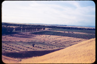 San Joaquin River bottom 02 thumbnail