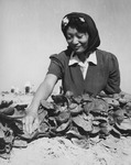 [Momayo Yamamoto, former farm worker in Fresno County] thumbnail