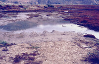 Pt. Mugu Wetlands thumbnail