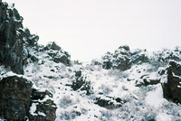 Rio Grande National Forest 018 thumbnail