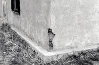 Sociedad Protección Mutua de Trabajadores Unidos (SPMDTU) 011 thumbnail