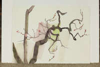 Nectarine Buds thumbnail