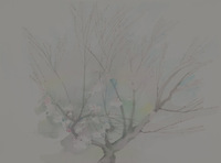 Blossom New Year thumbnail