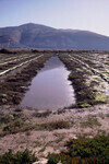 Pt. Mugu Wetlands thumbnail