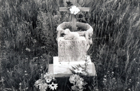 Martinez farm 025 thumbnail