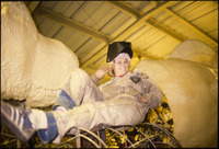 [Student reclining on Rose Float structure] thumbnail