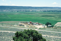 Crops growing in San Luis Valley 015 thumbnail