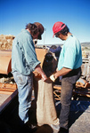 Farm equipment 014 thumbnail