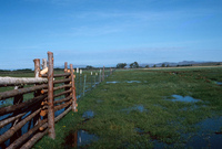 Irrigating fields 009 thumbnail