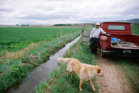 Kaber farm, Irrigating fields 012 thumbnail