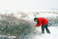 Rio Grande National Forest 023 thumbnail