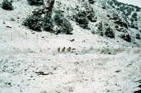 Stone horno and landscapes 027 thumbnail