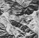 1950 ABI-14G-144 [Fresno County, California aerial survey, 1950]. thumbnail