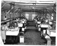 Laundry facility. thumbnail