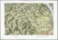 Bird's-eye view perspective map of the Archduchy Austria under the Ens. Western area near the surroundings of Vienna thumbnail