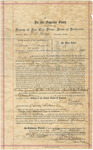 Act of Naturalization, Samuel Slocombe, 1890 thumbnail