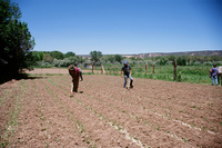 Montoya farm 018 thumbnail