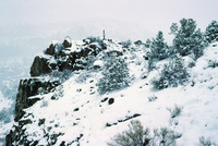Rio Grande National Forest 021 thumbnail