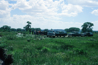 River and hay baling 006 thumbnail