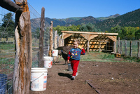 Torres ranch animals 013 thumbnail