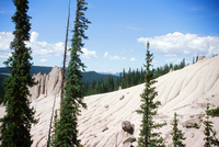 River, plants and mountains 029 thumbnail