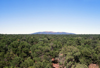 Torres ranch animals 017 thumbnail