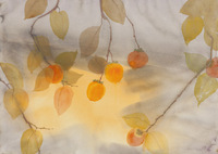 persimmons thumbnail