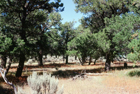 Torres ranch landscapes 005 thumbnail