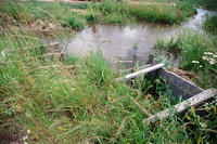 Kaber farm, Compuerta irrigation 022 thumbnail